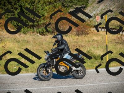 202510111054-DSC01966_c1_