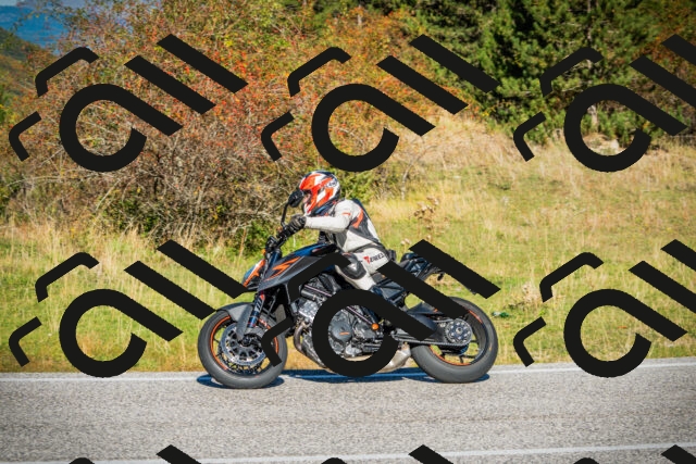 202510111058-DSC01994_c1_