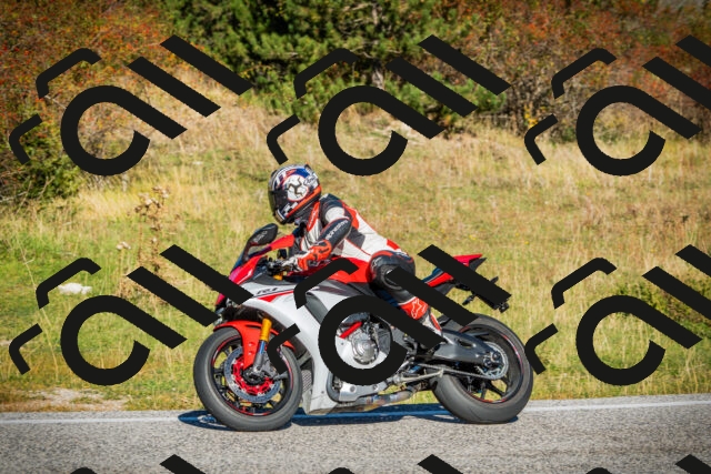 202510111058-DSC02001_c1_