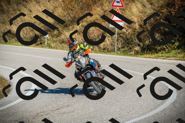 202510111101-DSC02011_c1_