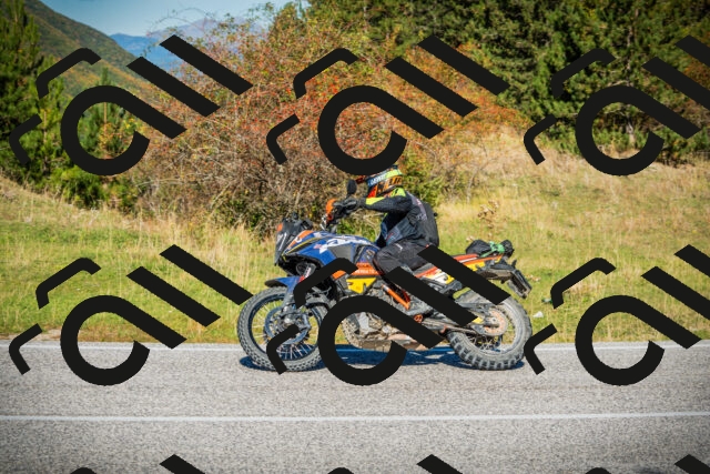 202510111101-DSC02013_c1_