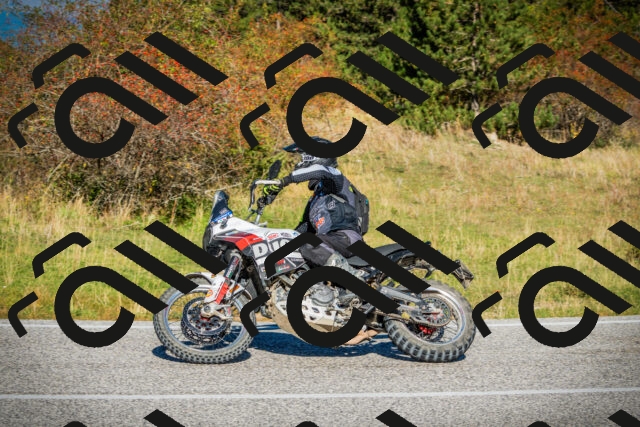 202510111101-DSC02016_c1_