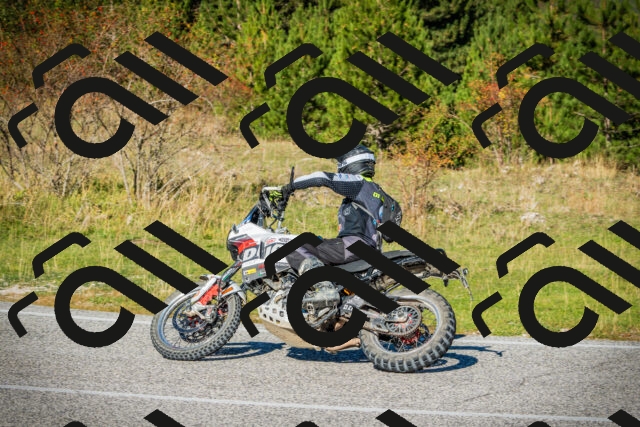 202510111101-DSC02017_c1_