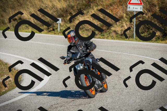 202510111103-DSC02023_c1_