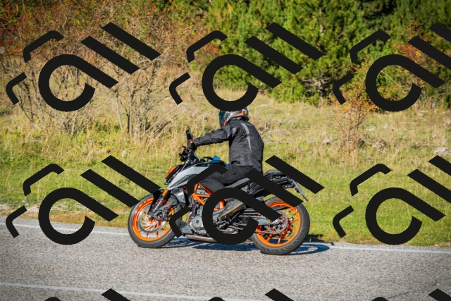 202510111103-DSC02026_c1_