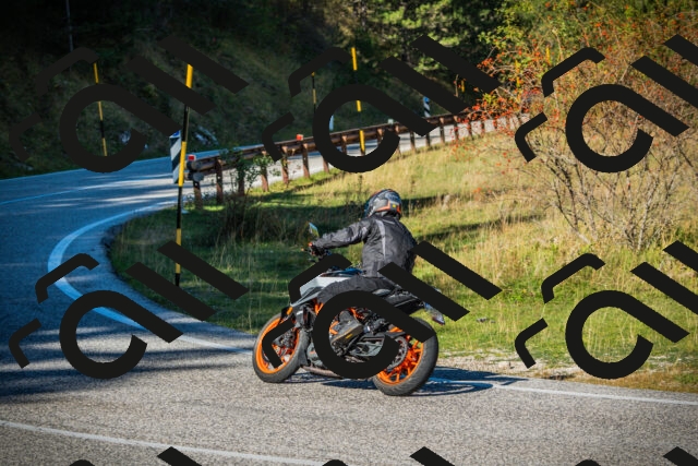 202510111103-DSC02027_c1_