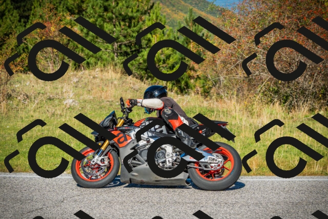 202510111105-DSC02047_c1_