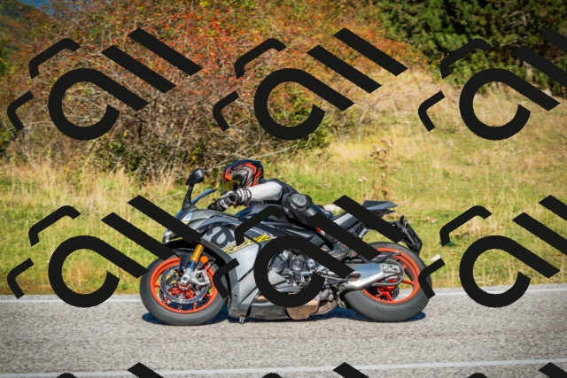 202510111105-DSC02048_c1_