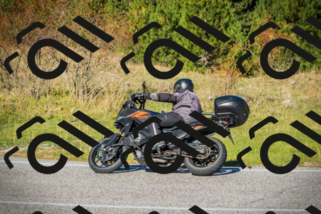 202510111113-DSC02110_c1_