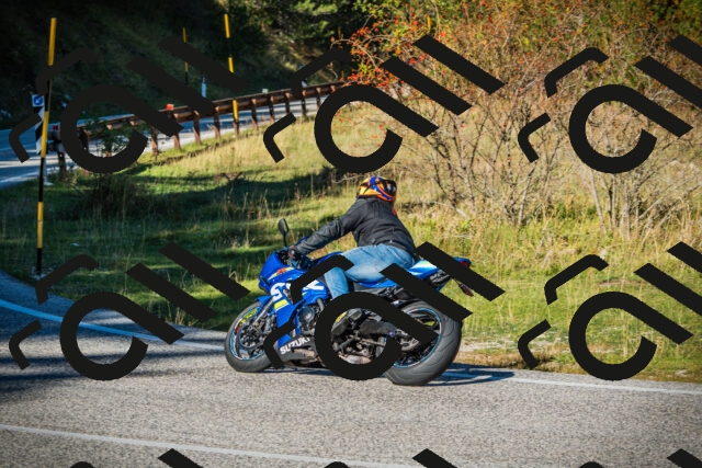 202510111113-DSC02115_c1_