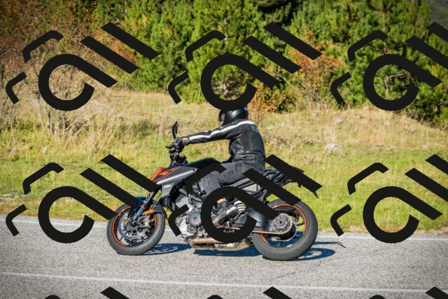 202510111115-DSC02133_c1_