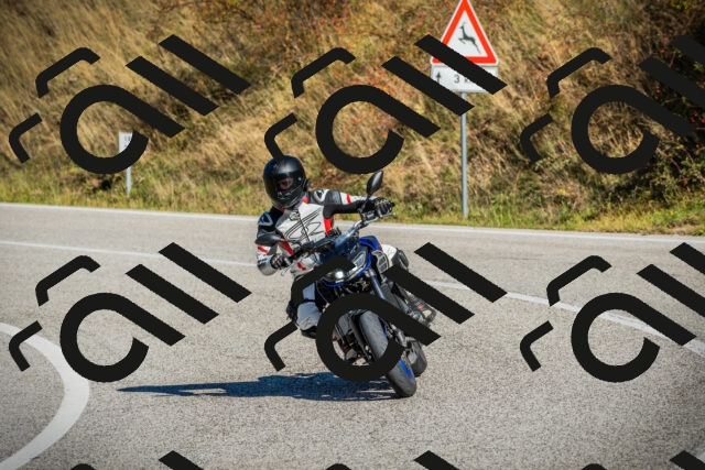 202510111118-DSC02134_c1_