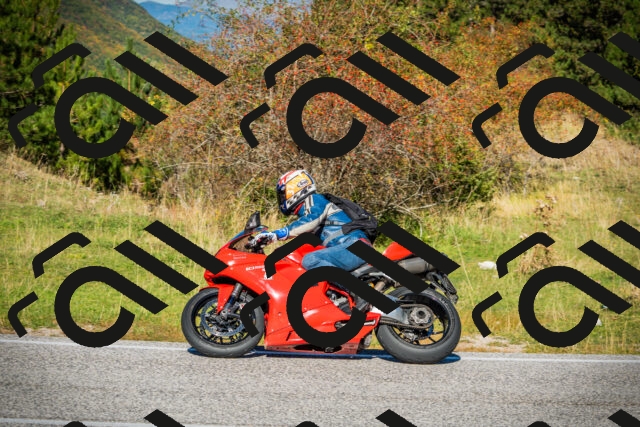 202510111119-DSC02151_c1_