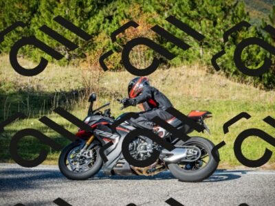 202510111230-DSC02989_c1_