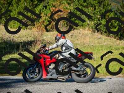 202510111230-DSC02990_c1_