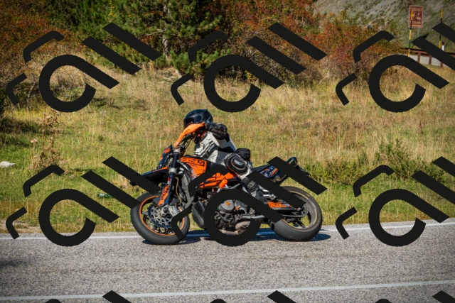 202510111300-DSC03388_c1_