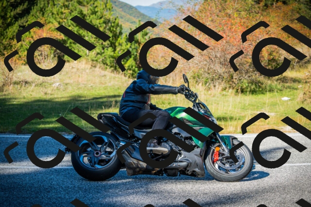 202510111301-DSC03391_c1_