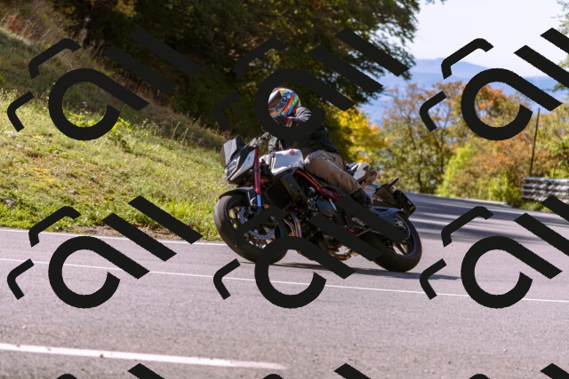 202510111131-_DSC1153_d1_