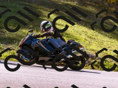 202510111132-_DSC1161_d1_