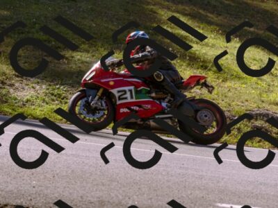 202510111132-_DSC1175_d1_