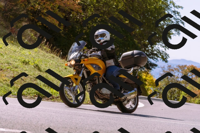 202510111200-_DSC1216_d1_