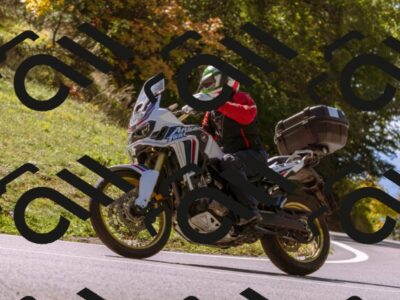 202510111210-_DSC1258_d1_