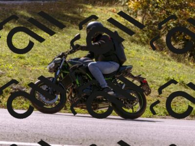 202510111218-_DSC1273_d1_