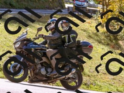 202510111226-_DSC1281_d1_