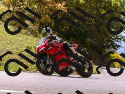 202510111230-_DSC1308_d1_