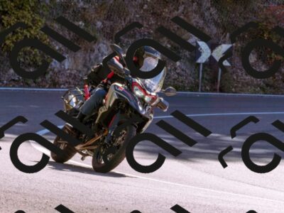 202510111230-_DSC1312_d1_