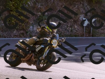 202510111230-_DSC1314_d1_