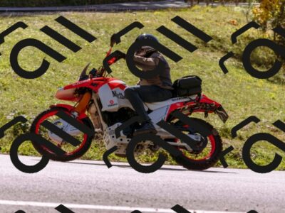 202510111254-_DSC1352_d1_