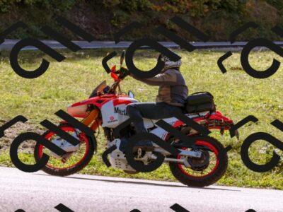 202510111254-_DSC1353_d1_