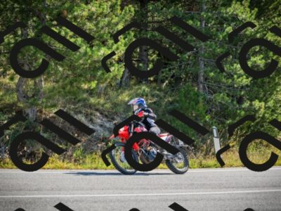 202510121030-DSC03426_c1_