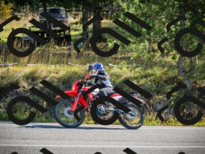 202510121030-DSC03427_c1_