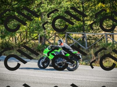 202510121036-DSC03451_c1_