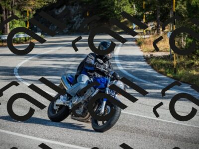 202510121038-DSC03454_c1_