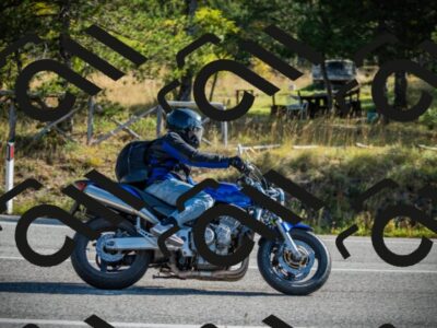 202510121038-DSC03455_c1_