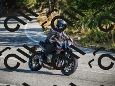 202510121058-DSC03579_c1_