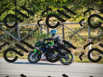 202510121059-DSC03596_c1_