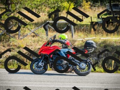 202510121107-DSC03636_c1_