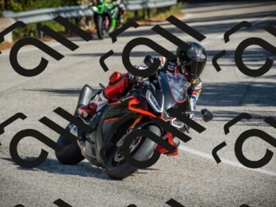 202510121107-DSC03641_c1_