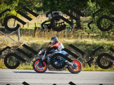 202510121112-DSC03679_c1_