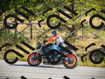 202510121112-DSC03680_c1_