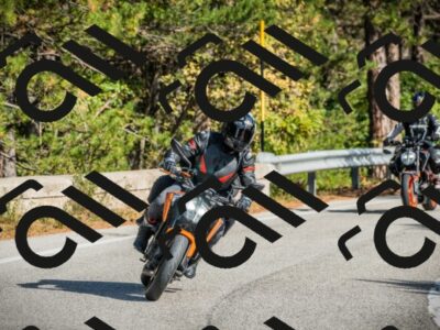 202510121118-DSC03712_c1_