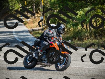 202510121118-DSC03714_c1_