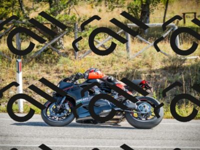 202510121124-DSC03742_c1_