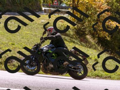 202510111304-_DSC1390_d1_