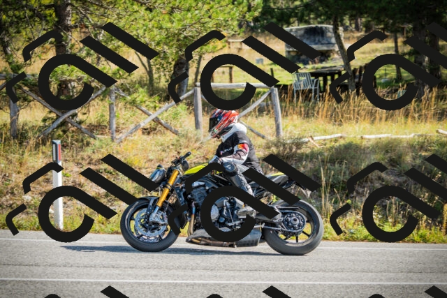 202510121130-DSC03775_c1_