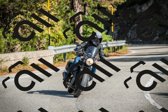 202510121130-DSC03780_c1_